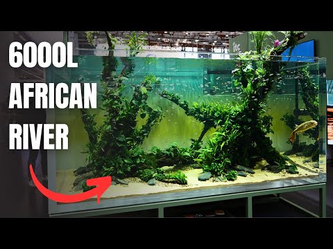 EPIC 3 METER AFRICAN RIVER AQUASCAPE AT INTERZOO 2024