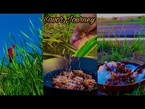 Orange chicken with Rice in Wild By Mystery Man | #asmr