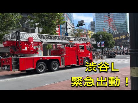 緊急車両！！はしご車　猛スピードでスクランブル交差点を緊急出動！！救急車 #消防 #消防車 #消防車両 #緊急車 #緊急車両 #緊急出動#特殊#Ambulance#shorts#緊急走行#サイレン