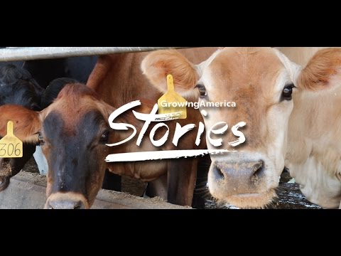 Stories - "We Can't Be Organic Because..."