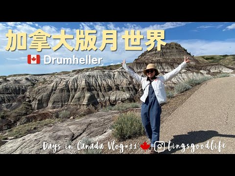 Vlog｜Days in Canada 🇨🇦no.11｜沈浸式逛恐龍博物館Royal Tyrrell Museum、Drumheller簡直是加拿大版的月世界、世界最大的恐龍夠巨喔