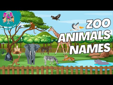 Let's Go to The Zoo and Learn Animals Names for Kids, Toddlers and Pre-School Children