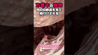 【閲覧注意! リアルなお肉を見るのが苦手な方はご注意ください】お肉１枚も大事に食べたい！万葉牛の枝肉です。全国ブランド牛を取材中 #ブランド牛  #wasabee