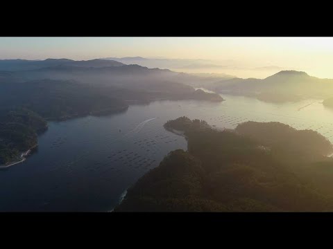 【宮城県観光映像】気仙沼大島