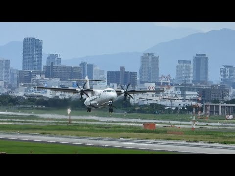 ディズニー！みぞか号！C3-PO機！乗客トラブルJA01XJ！伊丹空港！Plane Spotting  Live!!  Osaka International Airport   11/27/2024