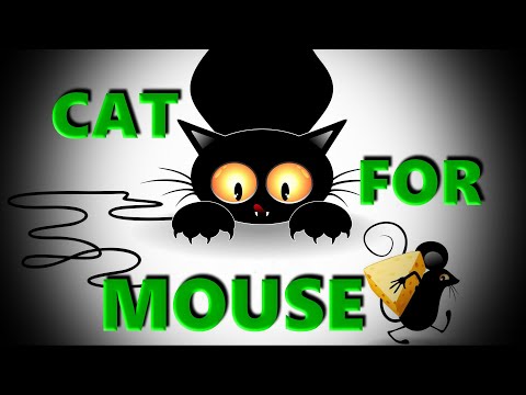 Mouse for a cat - a game for cats and kittens