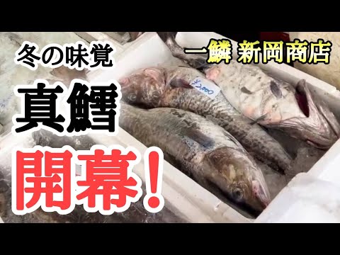 【北海道】余市町の新岡商店🐟腹パンのタラが並ぶ！極上の真だち・真鱈子が安い🤩