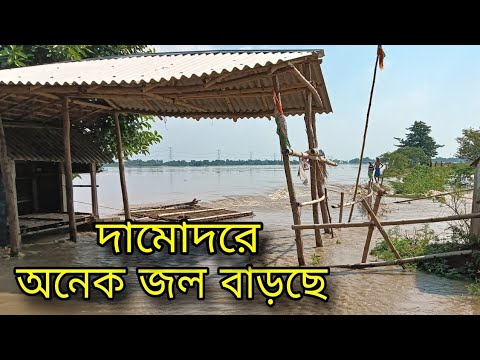 Damodar River 2024 | Dvc water release today | Durgapur Barrage 2024 | Dvc