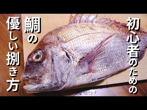 鯛のさばき方～初心者でもこれを見れば完璧になる三枚おろし【刺身】