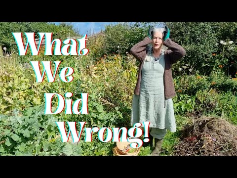 What We Did Wrong!