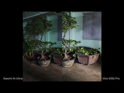 Xiaomi 14 Ultra vs Vivo X100 Pro (Low Light Video)