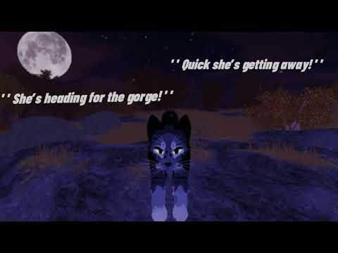 Warrior Cats Edit