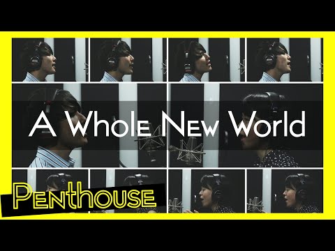 A Whole New World(a cappella cover)