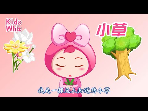 小草 | 最新儿歌童谣 | 中文经典儿歌 | 卡通动画 | 开心儿歌 | Chinese kids nursery rhymes | Learn Chinese | Kids Whiz