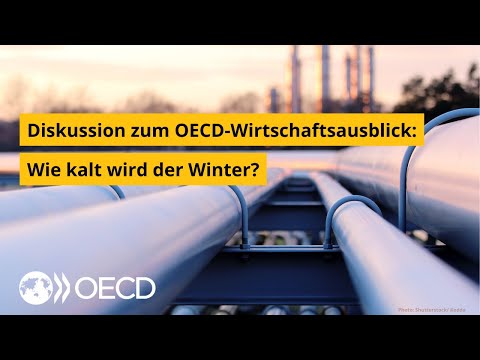 Wie kalt wird der Winter? - Diskussion zum OECD-Wirtschaftsausblick