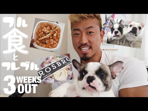 【ルーティンVlog】減量中のフル食と愛犬のフレブル登場！【犬】