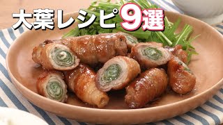 【おつまみにもメインにも】大葉レシピ9選　デリッシュキッチン