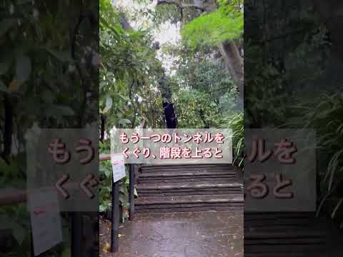 【#実篤公園 #行ってみた】 #実篤記念館 #武者小路実篤