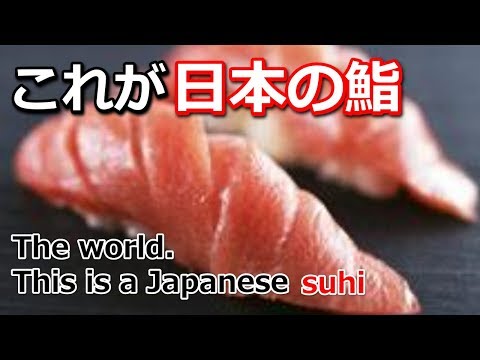 日本の鮨・握り寿司：イクラやウニ、大間のマグロ【sushi-japanese-food】