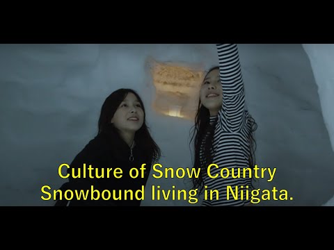 Culture of Snow Country｜From Niigata：Jomon to Today Cultural Experience