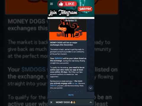 money dogs airdrop snapshot time price 0.01??? || ton transaction