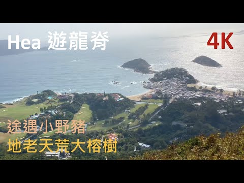 龍脊Hea 遊 - Dragon‘s Back - 4K 壯麗山景 - 4K photography of Hill and Sea - ｛山野篇 HongKongHiking｝