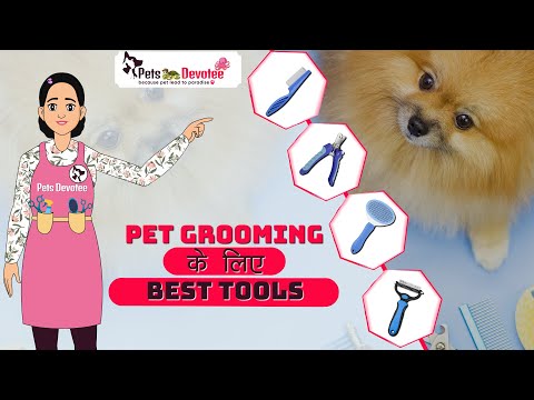 Best Tools for Pet Grooming in hindi | जानिए Pet Grooming Tools  बारे में | Pet Care Expert