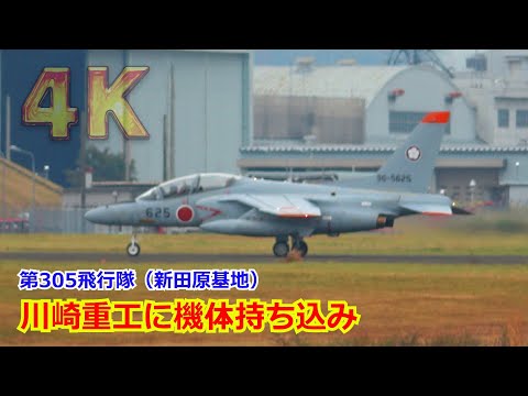 【4K】予期せぬお客！梅組がやってきた！！第305飛行隊(新田原基地)からT-4定期整備の持ち込みに飛来 2024/11/4【岐阜基地】