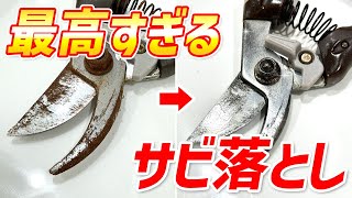 【サビ取り】ハサミの金属サビを溶かして拭き取る最高すぎるサビ落とし！