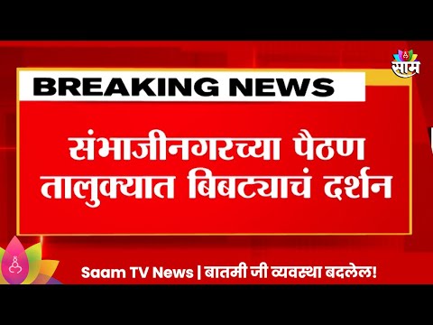 Marathi News | Sambhajinagar News:  संभाजीनगरत पुन्हा दिसला बिबट्या!