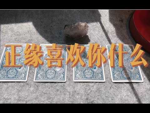 正缘喜欢你什么 & 你们的互动方式～｜小滋润扑克牌