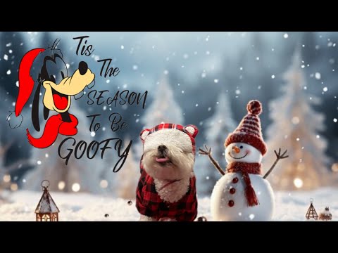 🐶 Buddy’s BEST SHORTS! A Comedic Compilation. Funny & Cute Dogs.