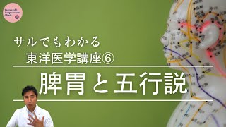 【脾胃の重要性】サルでもわかる東洋医学講座⑥【五行説】