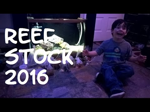 ReefStock 2016