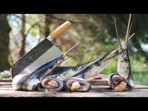 How to Grill Garfish, Catch and Cook, Campfire Cooking!