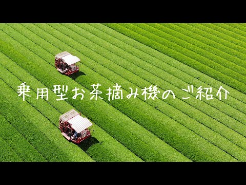 🍃お茶の収穫マシン「乗用型お茶摘み機」のご紹介🍃