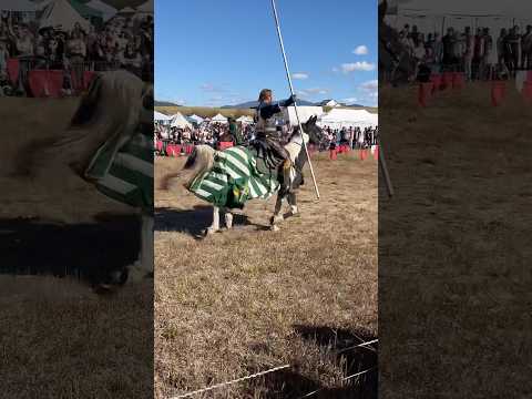 Scotland Forever! #jousting #renaissance #renaissancefaire #horsebackriding