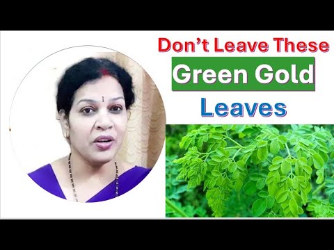 Don’t Leave These Green Gold Leaves  For Healthy Body