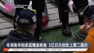 丰洲鱼市拍卖蓝鳍金枪鱼 2亿日元创史上第二高价【2025.01.05 八度空间午间新闻】