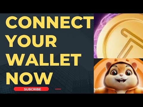 CONNECT YOUR WALLET NOW OR NEVER//TAPSWAP//HAMSTER//MEMEFI//TIMEFARM @IkabaMichael