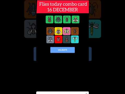 FLIES 16 DECEMBER COMBO CARD