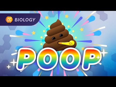 How Animals Turn Resources Into Waste: The Poop Episode: Crash Course Biology #43