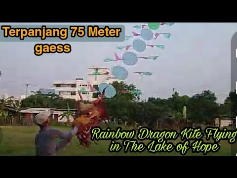 Layangan Naga Terbang di Telaga Harapan | Dragon Kite Flying in The Lake of Hope