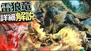 【MH解説】ジンオウガってどんなモンスター？生態、特殊個体、特徴などを詳細解説！【モンハン実況】