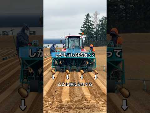 【ポテト好きにみてほしい🥔】北海道での貴重な体験#shorts