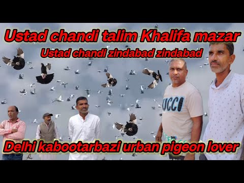 ustad chandi talim Khalifa mazar Delhi ki kabootarbazi urban