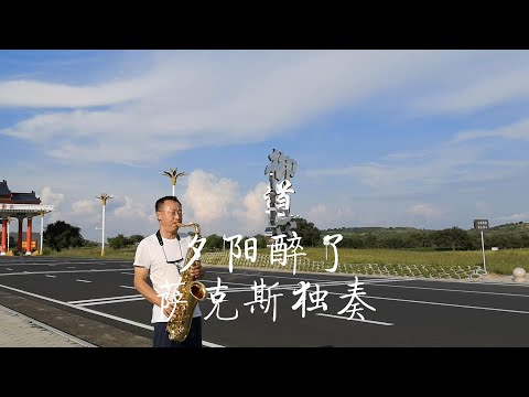 《夕阳醉了》怀旧金曲次中音萨克斯独奏Saxophone Cover