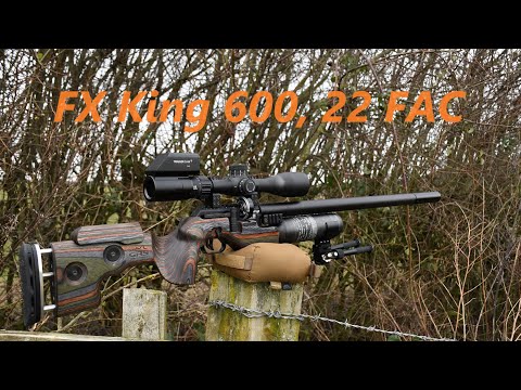 FX King 600, FAC Air Rifle, FULL REVIEW, is it about pneumatic efficiency or structural rigidity?