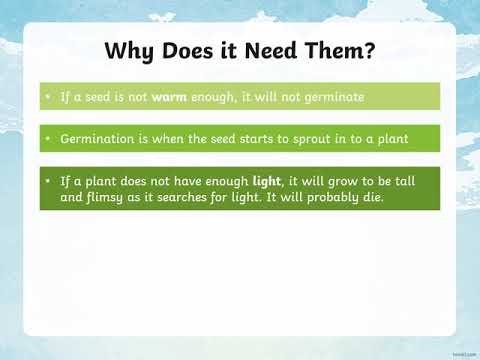 IPC Week 3 Lesson 1 : what plants need to grow powerpoint