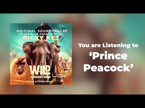 14 Wild Karnataka - Prince Peacock - Original Soundtrack by Ricky Kej